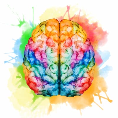 Water color illustration of a brain